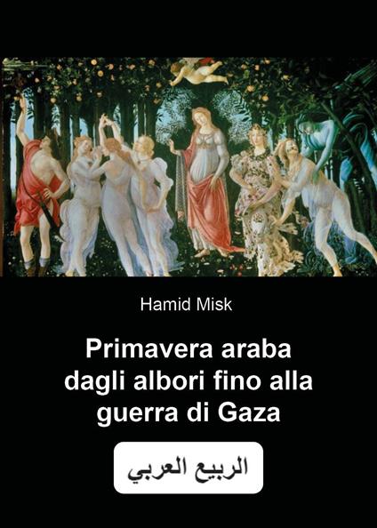 Primavera araba dagli albori fino alla guerra di Gaza - Misk Hamid - copertina