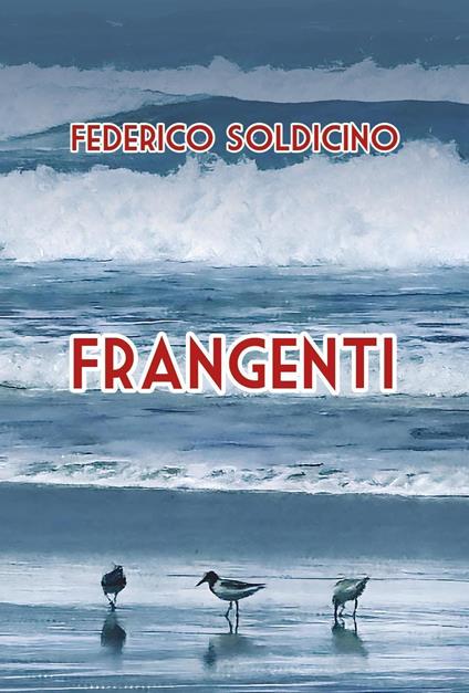 Frangenti - Federico Soldicino - copertina