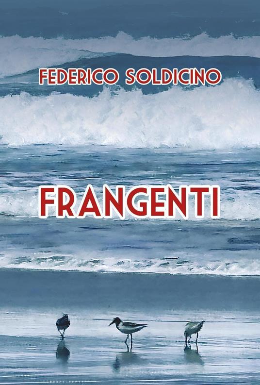Frangenti - Federico Soldicino - copertina