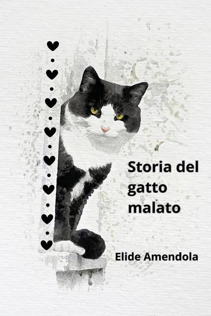 Storia del gatto malato - Elide Amendola - copertina