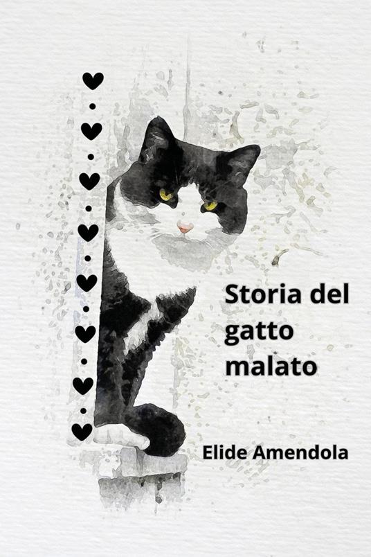 Storia del gatto malato - Elide Amendola - copertina