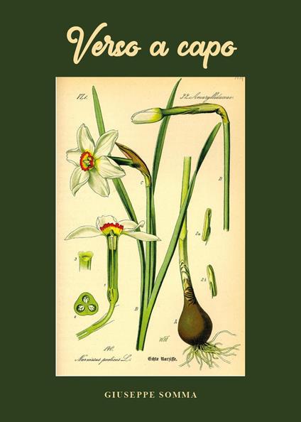 Verso a capo - Giuseppe Somma - copertina