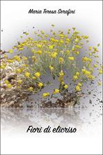 Fiori di elicriso