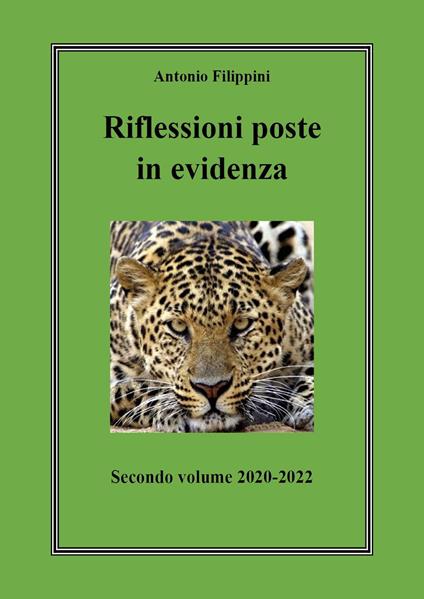 Riflessioni poste in evidenza. Vol. 2: 2020-2022 - Antonio Filippini - copertina