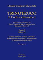 Trinoteuco. Il Codice Sincronico Kodikos Sugkhronikes - Skh (Fonti: Vangeli di Marco, Matteo, Luca, Giovanni, e Atti 1 e 2). Vol. 6/2