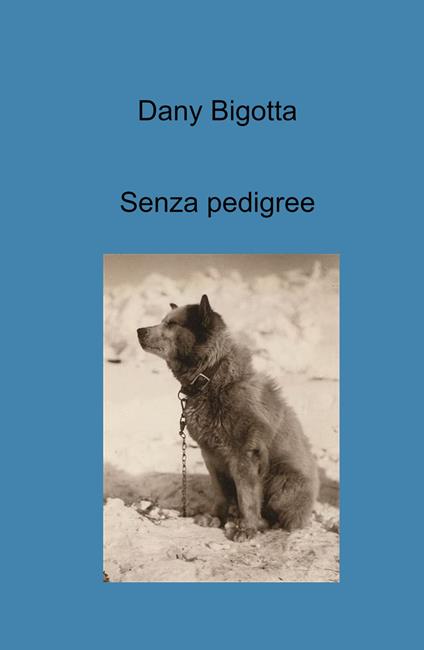 Senza pedigree - Dany Bigotta - copertina