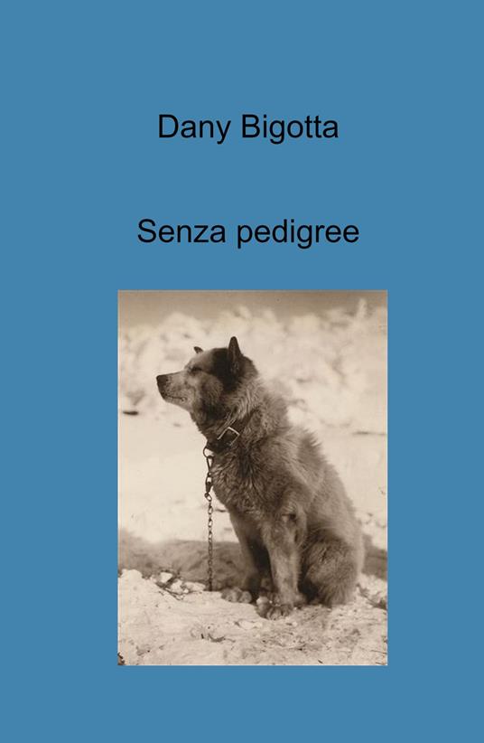 Senza pedigree - Dany Bigotta - copertina