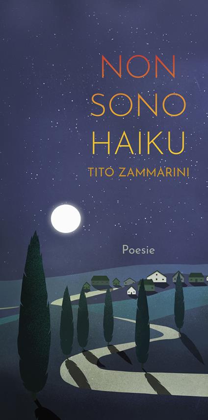 Non sono haiku - Tito Zammarini - ebook
