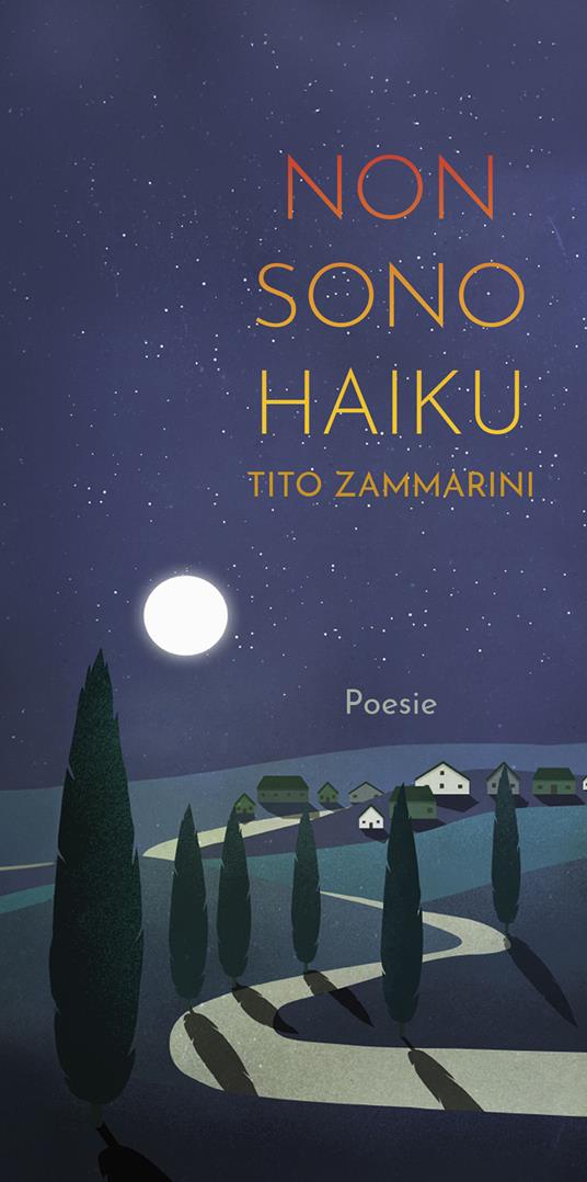 Non sono haiku - Tito Zammarini - ebook