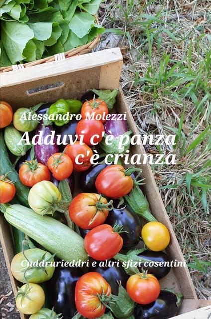 Adduvi c'e panza c'e crianza. Cuddrurieddri e altri sfizi cosentini - Alessandro Molezzi - copertina