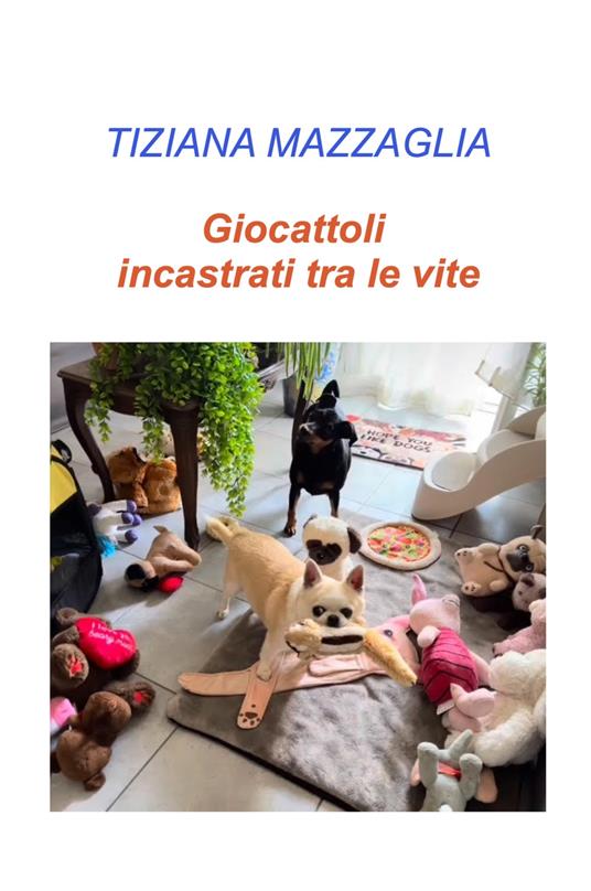 Giocattoli incastrati tra le vite - Tiziana Mazzaglia - copertina