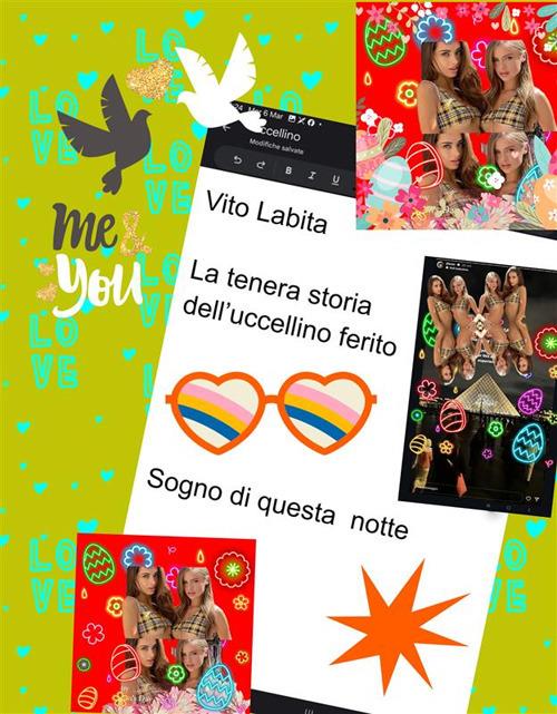 La tenera storia dell'uccellino ferito. Sogno di questa notte - Vito Labita - ebook