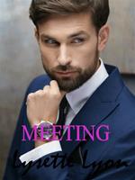 Meeting