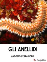 Gli anellidi
