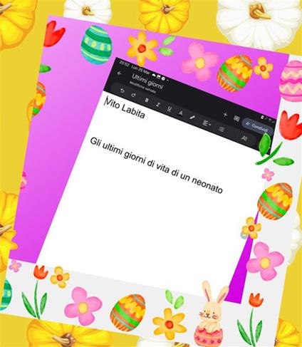 Gli ultimi giorni di vita di un neonato - Vito Labita - ebook