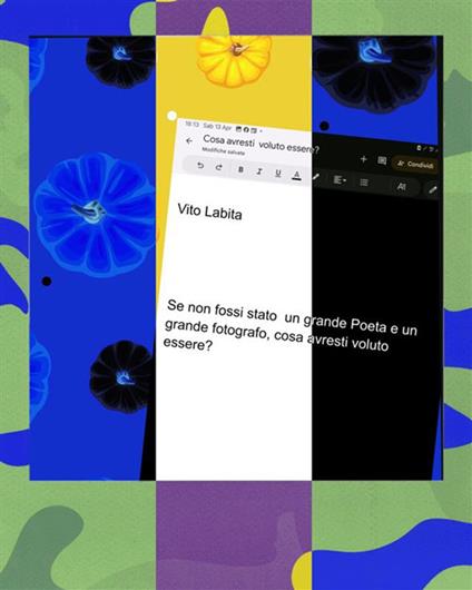 Se non fossi stato un grande poeta e un grande fotografo, cosa avresti voluto essere? - Vito Labita - ebook