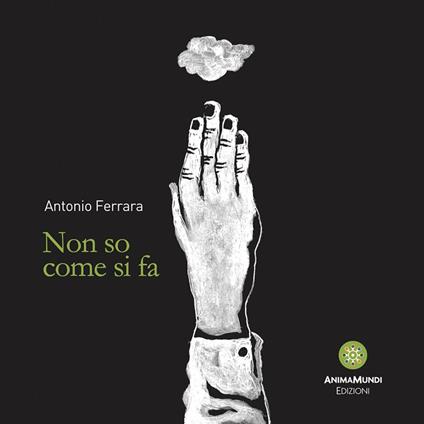 Non so come si fa - Antonio Ferrara - ebook