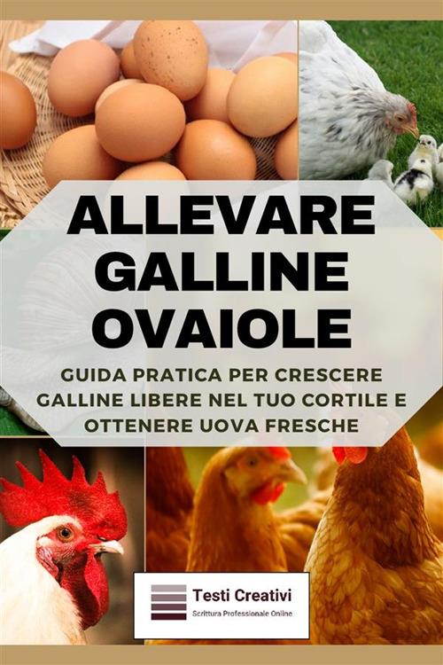 Allevare galline ovaiole. Guida pratica per crescere galline libere nel tuo cortile e ottenere uova fresche - Testi Creativi - ebook