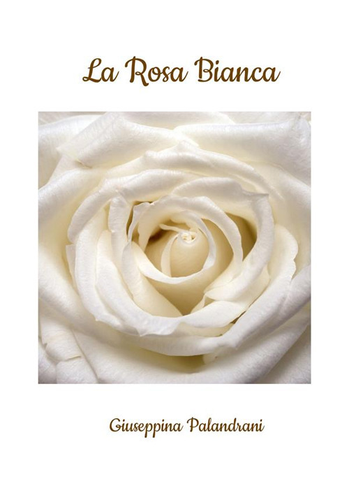 Libreria Nani