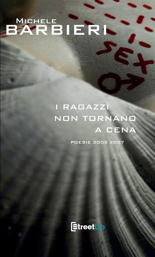 I ragazzi non tornano a cena - Michele Barbieri - copertina