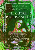 Nome prodotto