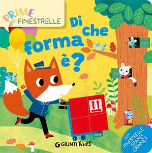 Di che forma è? Ediz. a colori