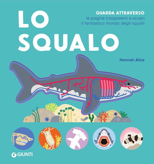 Lo squalo. Ediz. a colori - copertina