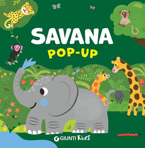 Savana pop-up. Ediz. a colori - Abigail Hall - copertina