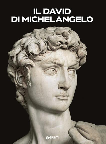Il David di Michelangelo - Franca Falletti - copertina