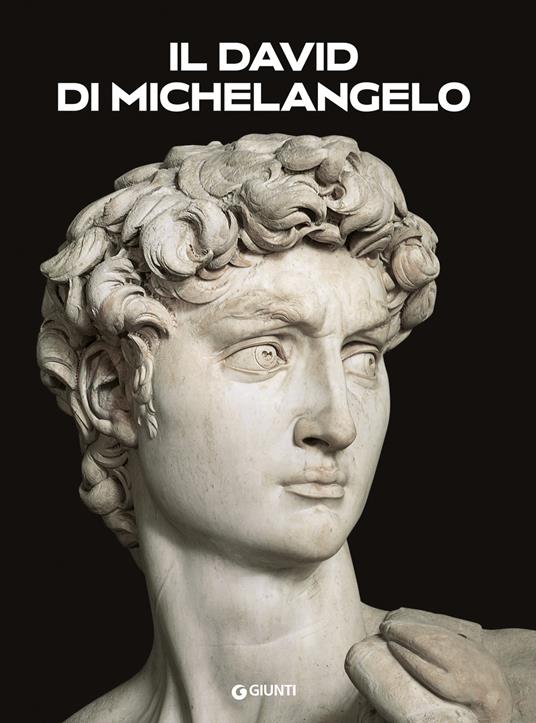 Il David di Michelangelo - Franca Falletti - copertina