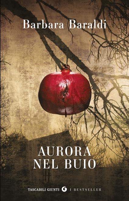 Aurora nel buio - Barbara Baraldi - copertina