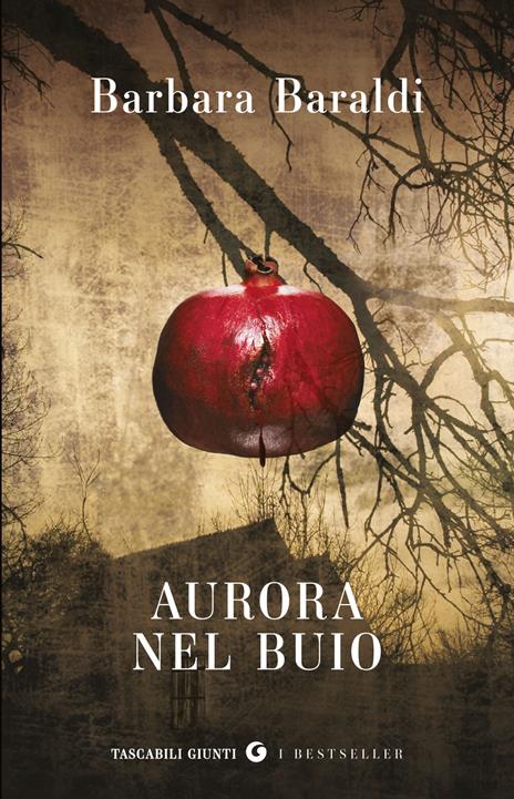 Aurora nel buio - Barbara Baraldi - copertina