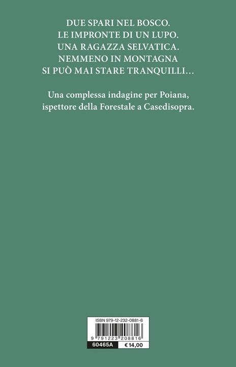 Tempo da elfi - Francesco Guccini,Loriano Macchiavelli - 2