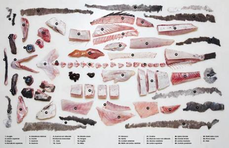 Il grande libro del pesce - Josh Niland - 2