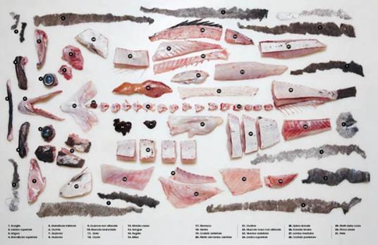 Il grande libro del pesce - Josh Niland - 2