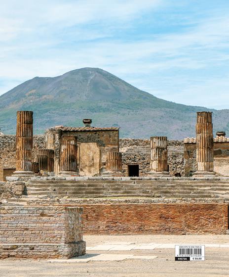 Pompeii. A Roman city - Maria Teresa D'Alessio,Andrea Carandini,Gabriel Zuchtriegel - 2