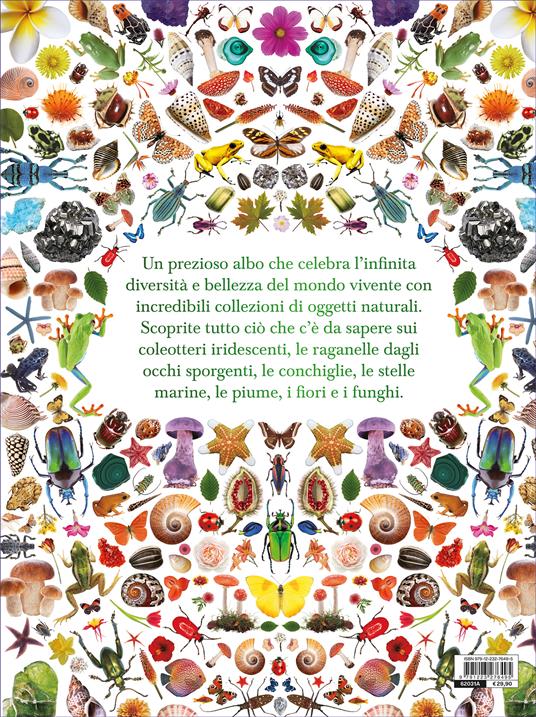 Forme della natura. Ediz. a colori - Ben Hoare - 2