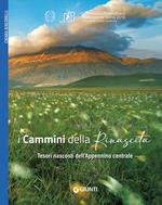 Cammini della rinascita lib