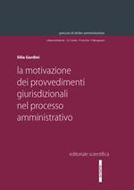 La motivazione dei provvedimenti giurisdizionali nel processo amministrativo