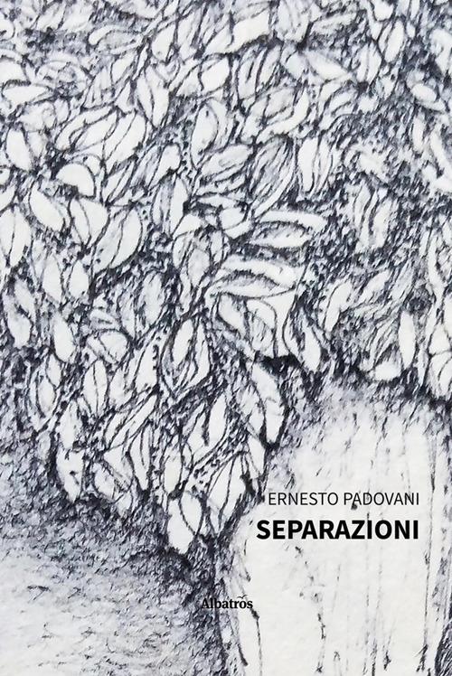 Separazioni - Ernesto Padovani - ebook