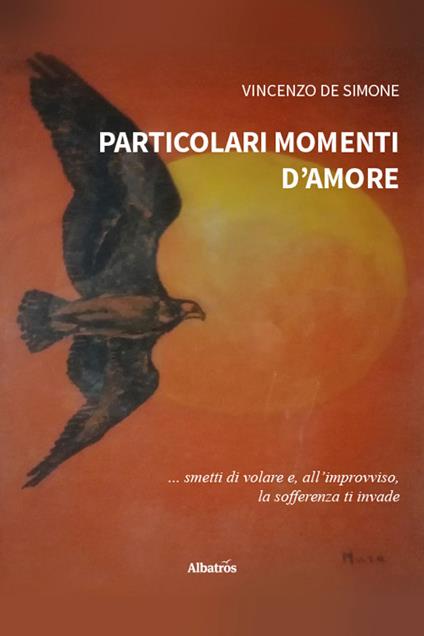 Particolari momenti d'amore - Vincenzo De Simone - copertina