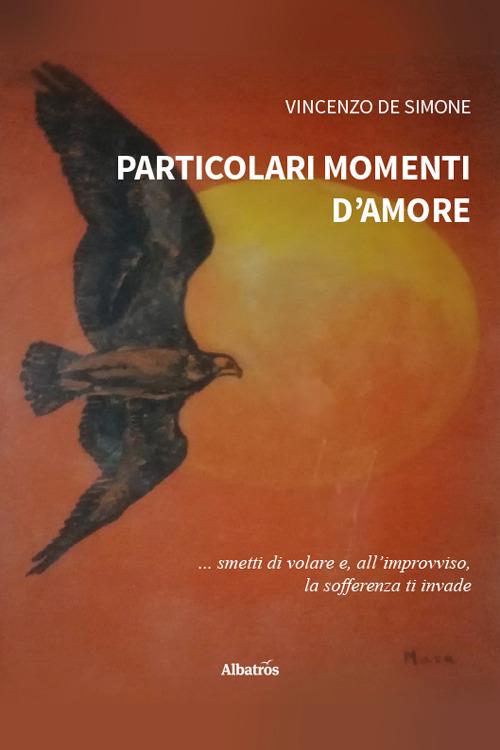 Particolari momenti d'amore - Vincenzo De Simone - copertina