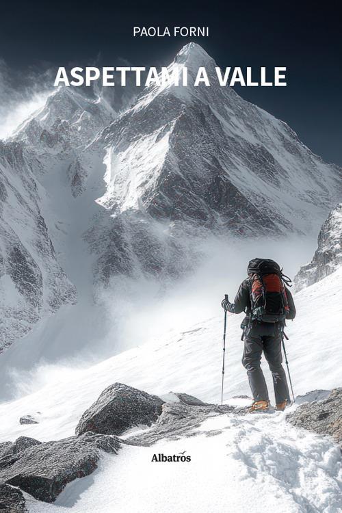 Aspettami a valle - Paola Forni - copertina