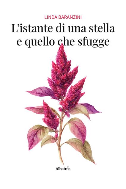 L'istante di una stella e quello che sfugge - Linda Baranzini - copertina