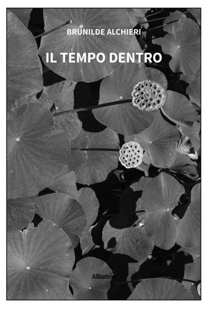 Il tempo dentro - Brunilde Alchieri - ebook