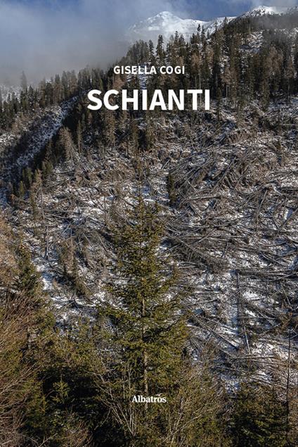 Schianti - Gisella Cogi - copertina