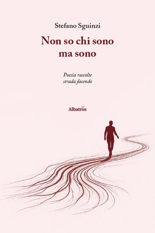 Non so chi sono ma sono. Poesia raccolte strada facendo - Stefano Sguinzi - copertina