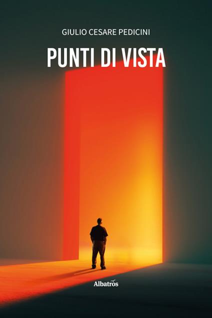 Punti di vista - Giulio Cesare Pedicini - copertina