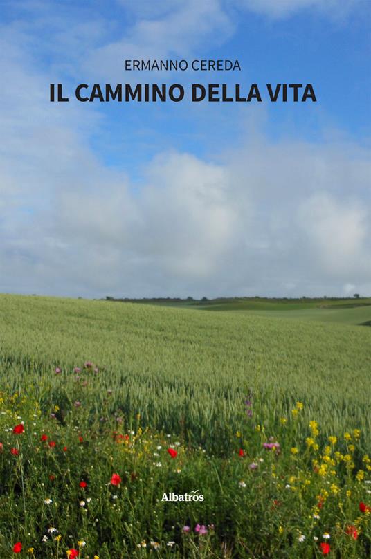 Il cammino della vita - Ermanno Cereda - ebook