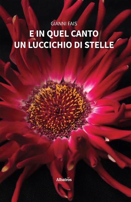 E in quel canto un luccichio - Gianni Fais - ebook